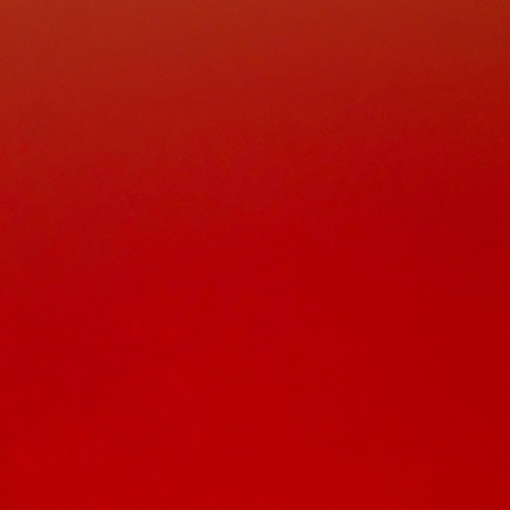 Meet your Posher, Amiya